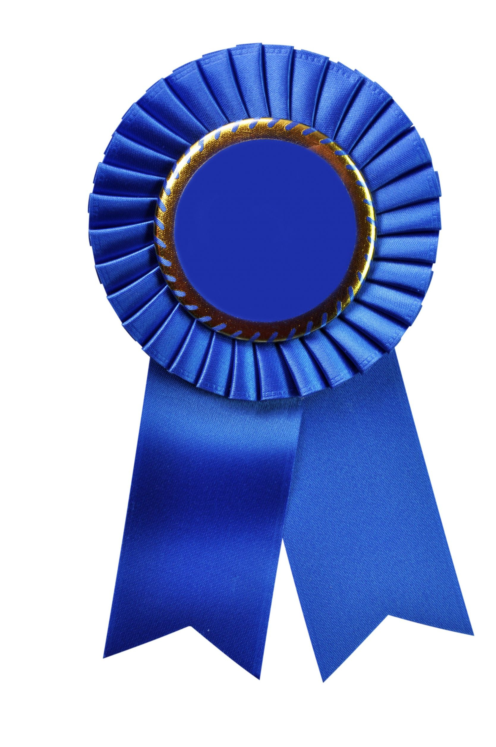 Blue ribbon1 jpg