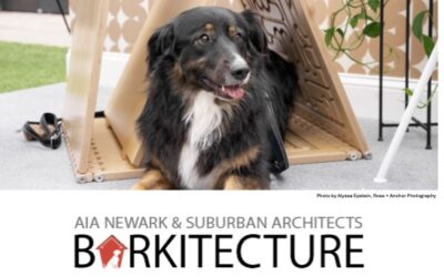 AIA Newark and Suburban Invites you to Design/ Build Barkitecture for a Cause!